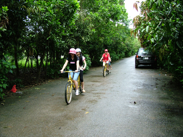 Xe đạp đôi - Công Ty TNHH Sông Thao